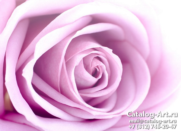 Натяжные потолки с фотопечатью - Розовые розы 52